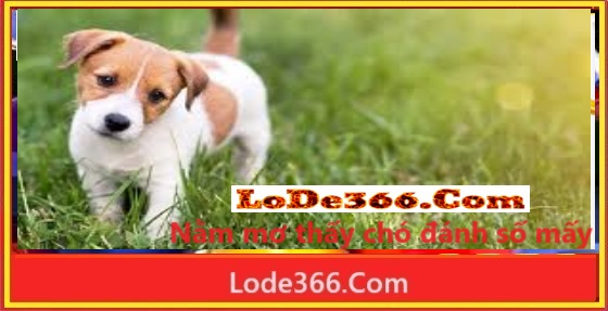 Nằm mơ thấy cho đánh số mấy