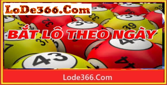Băt lô chuẩn theo ngày