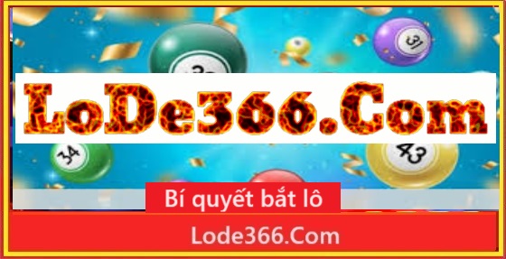 Bí quyết bắt lô