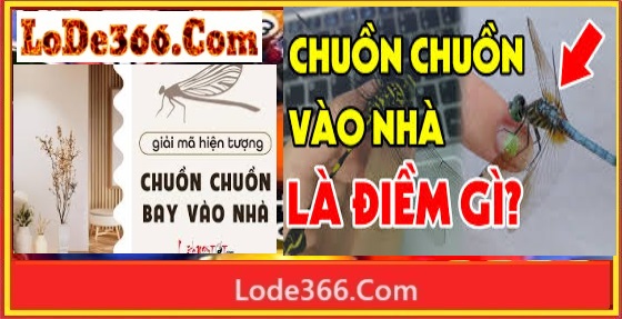 chuồn chuồn là số mấy