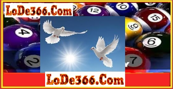 con bồ câu là số mấy