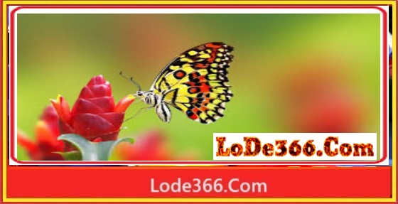 Con bướm là số mấy