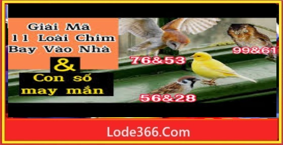 Con chim sẽ số mấy