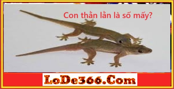 con thằn lằn là số mấy