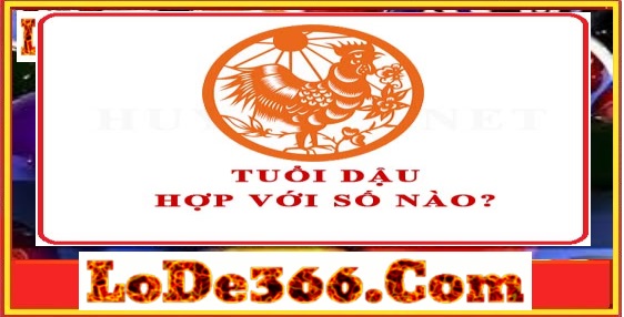 Mẹo đánh lô mb theo tuổi gà