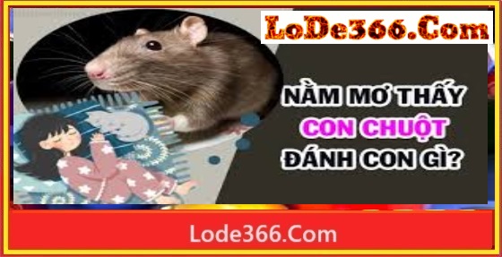 Nằm mơ thấy chuột đánh số mấy