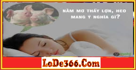 Nằm mơ thấy heo lợn đánh lô đề con gì