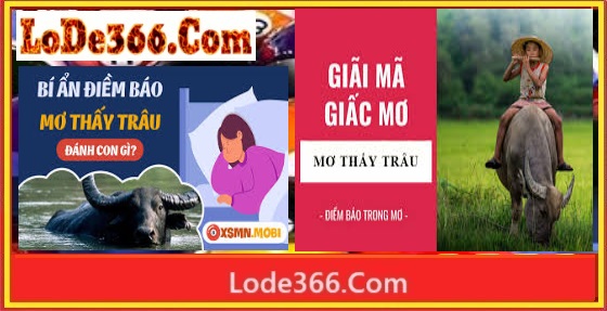 Nằm mơ thấy trâu đánh số mấy