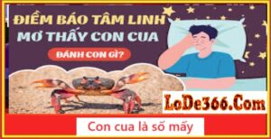 Soi cầu 366 chuẩn 100%