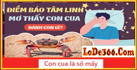 con cua là số mấy