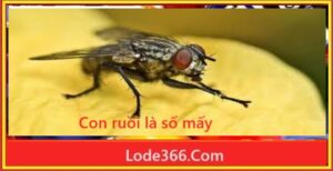 Lô khung 888 lokhung888.com